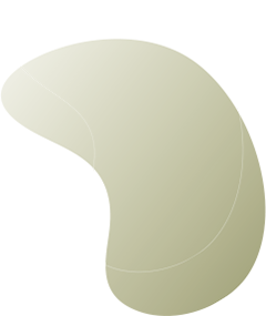 https://shambassam.nl/wp-content/uploads/2020/08/floating_image_08.png